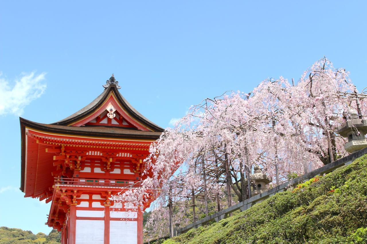 Stay SAKURA 京都 四条烏丸 外观 照片