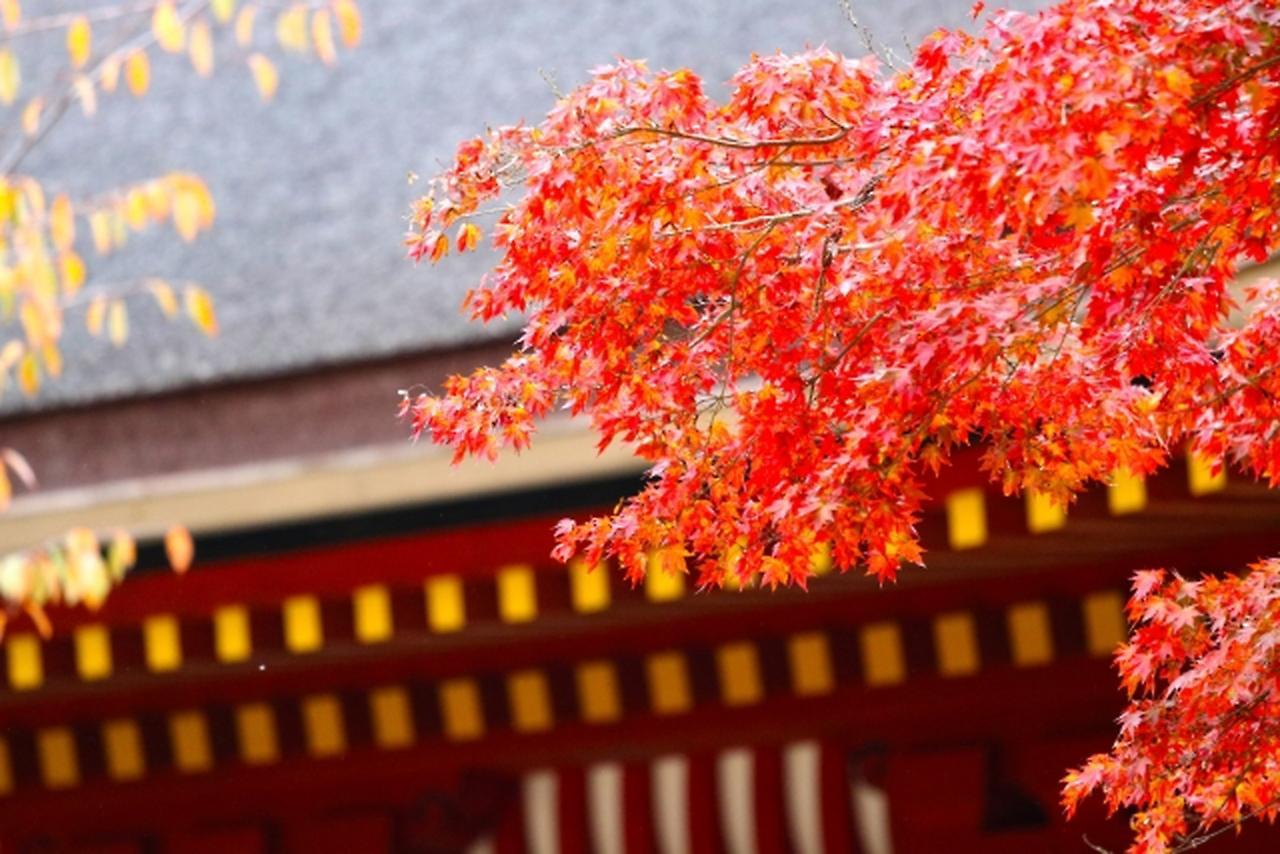 Stay SAKURA 京都 四条烏丸 外观 照片